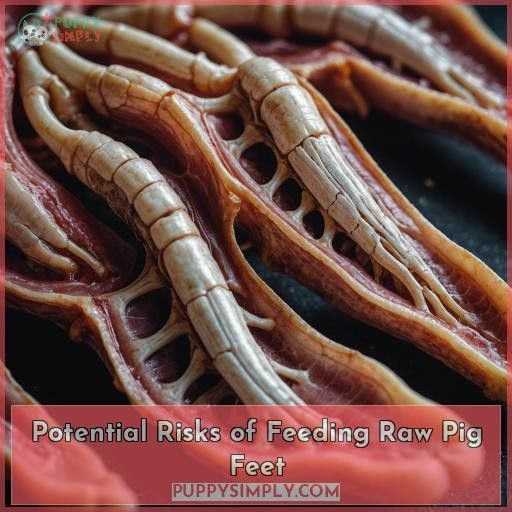 Potential Risks of Feeding Raw Pig Feet