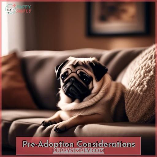 Pre-Adoption Considerations
