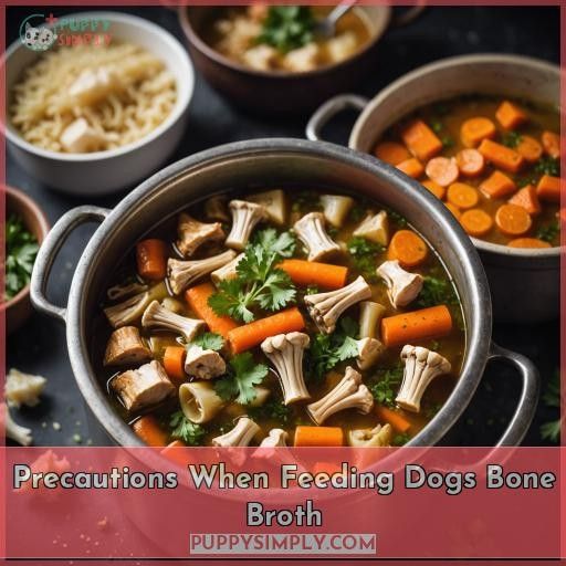 Precautions When Feeding Dogs Bone Broth