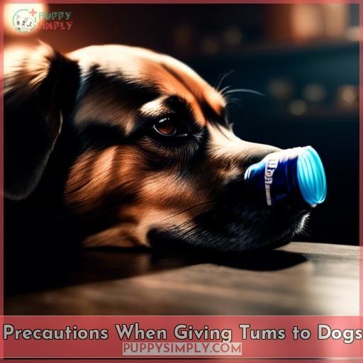 Precautions When Giving Tums to Dogs