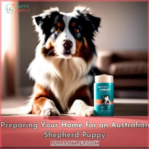 Preparing Your Home for an Australian Shepherd Puppy