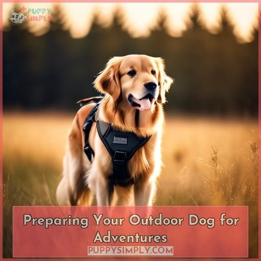 Preparing Your Outdoor Dog for Adventures