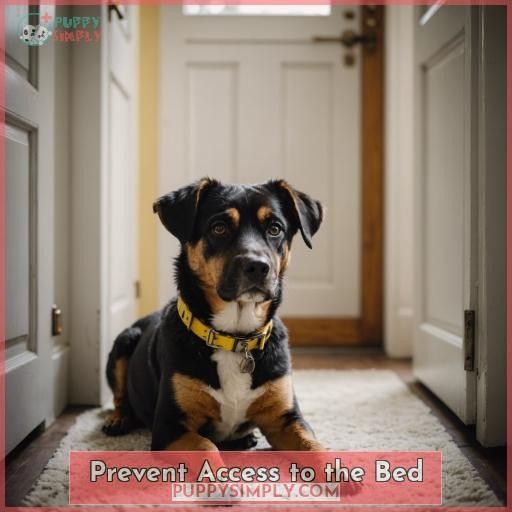 Prevent Access to the Bed