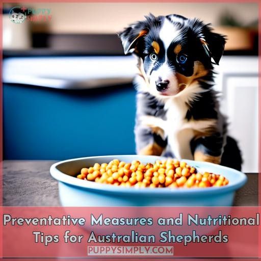 Preventative Measures and Nutritional Tips for Australian Shepherds