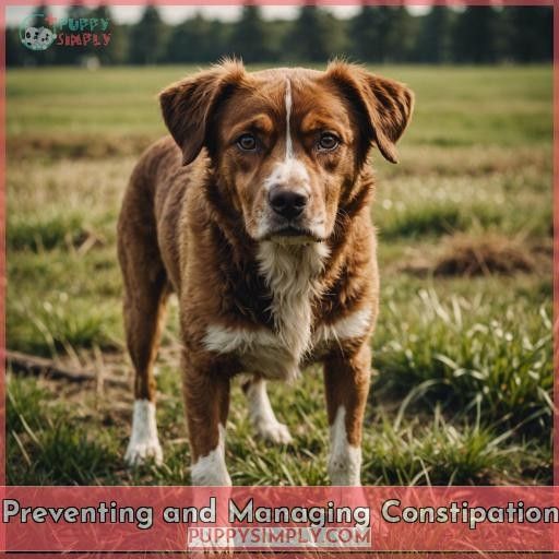 Preventing and Managing Constipation