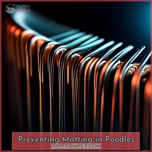 Preventing Matting in Poodles
