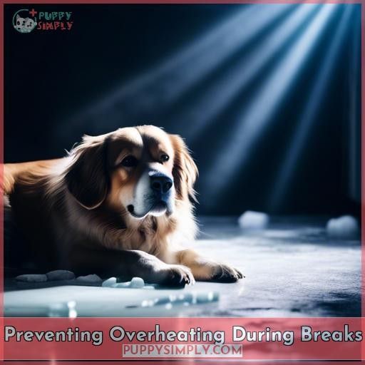 Preventing Overheating During Breaks
