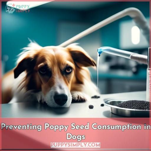 Preventing Poppy Seed Consumption in Dogs