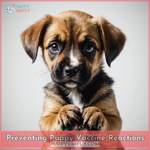 Preventing Puppy Vaccine Reactions
