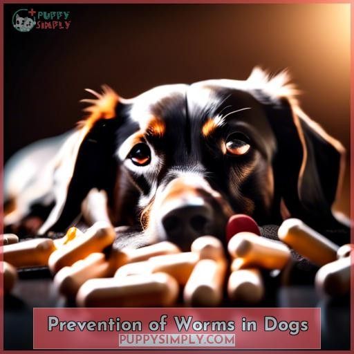 Prevention of Worms in Dogs