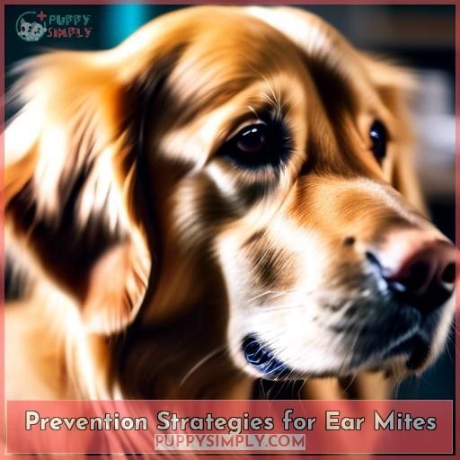 Prevention Strategies for Ear Mites