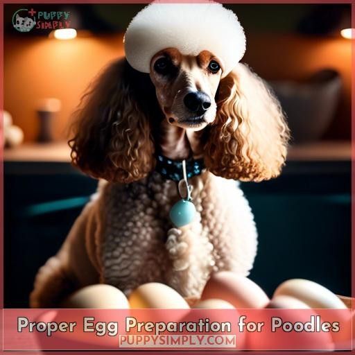 Proper Egg Preparation for Poodles Proper Egg Preparation for Poodles