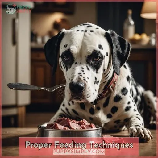 Proper Feeding Techniques