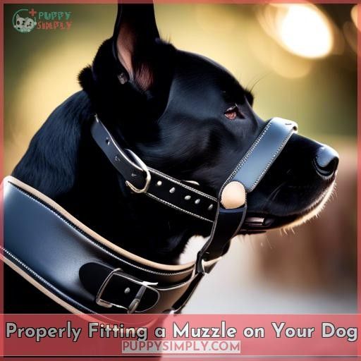 Properly Fitting a Muzzle on Your Dog