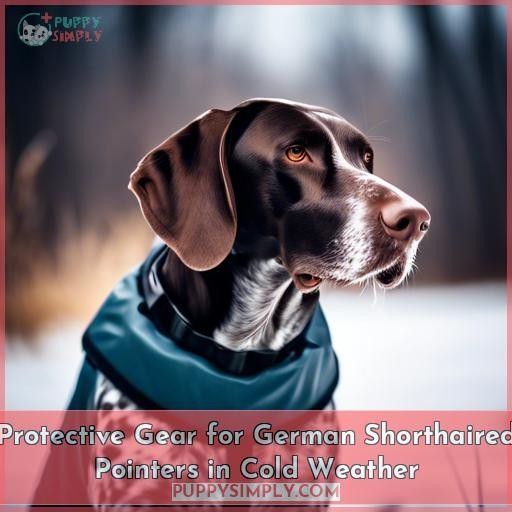 Protective Gear for German Shorthaired Pointers in Cold Weather