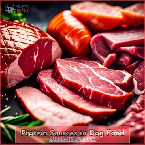 Protein Sources in Dog Food