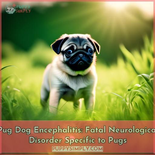 Pug Dog Encephalitis: Fatal Neurological Disorder Specific to Pugs