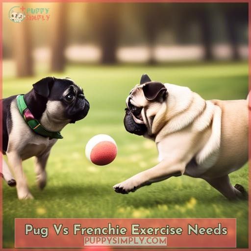 Pug Vs Frenchie Exercise Needs