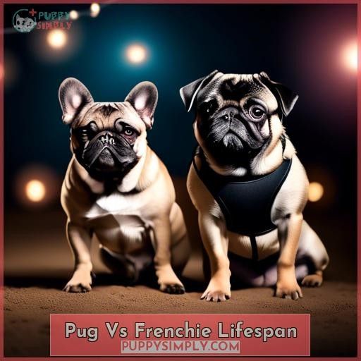 Pug Vs Frenchie Lifespan