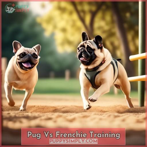 Pug Vs Frenchie Training