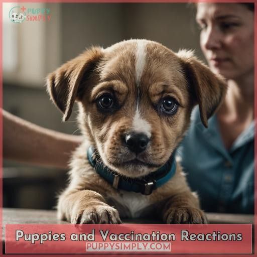Puppies and Vaccination Reactions