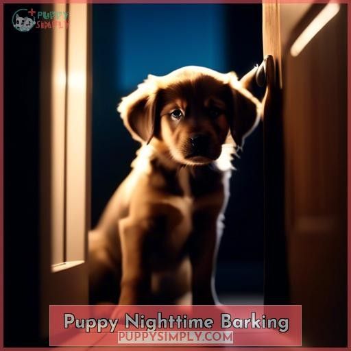 Puppy Nighttime Barking