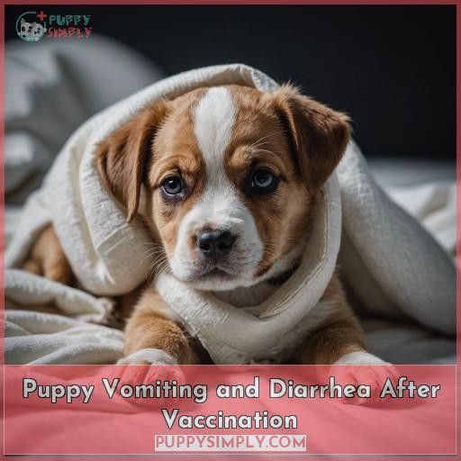 Puppy Vomiting and Diarrhea After Vaccination