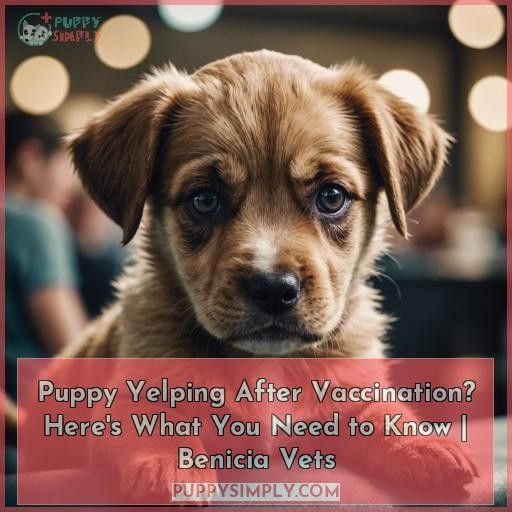 puppy yelping after vaccination