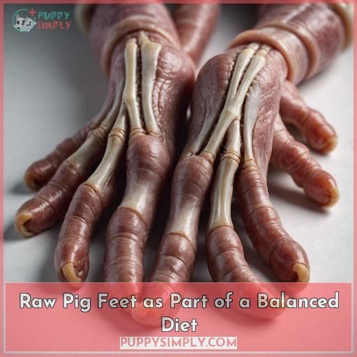 Raw Pig Feet as Part of a Balanced Diet