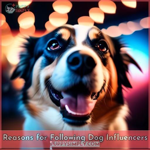Reasons for Following Dog Influencers