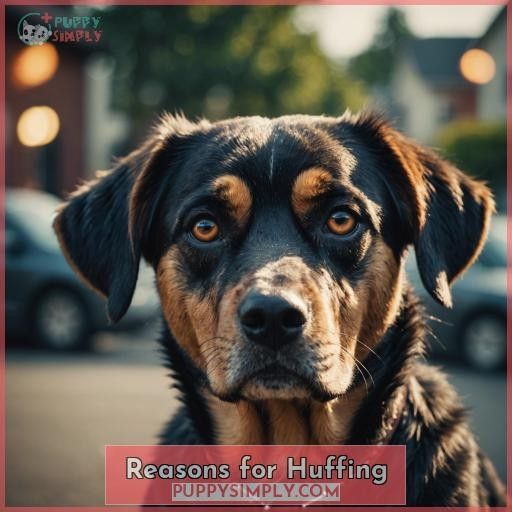 Reasons for Huffing
