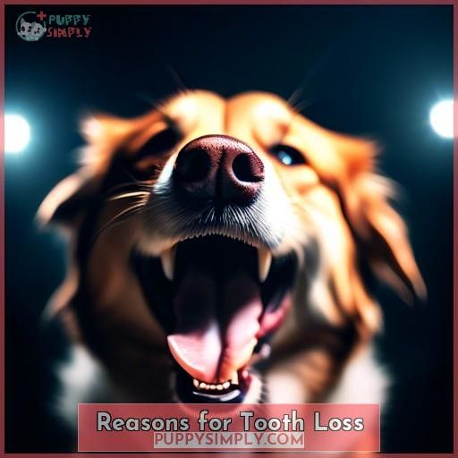 Reasons for Tooth Loss