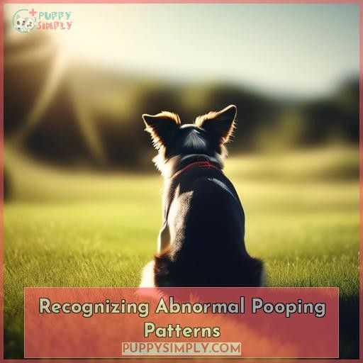 Recognizing Abnormal Pooping Patterns