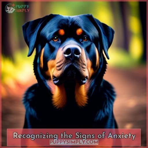 Recognizing the Signs of Anxiety