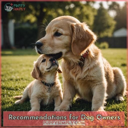 Recommendations for Dog Owners