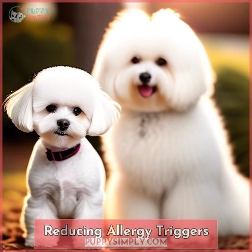 Reducing Allergy Triggers
