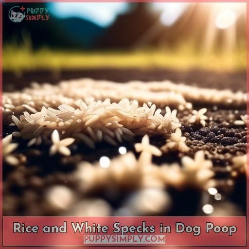 Rice and White Specks in Dog Poop