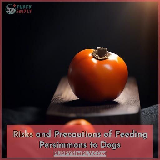 Risks and Precautions of Feeding Persimmons to Dogs