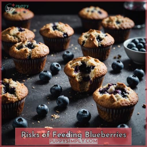 Risks of Feeding Blueberries