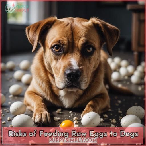 Risks of Feeding Raw Eggs to Dogs