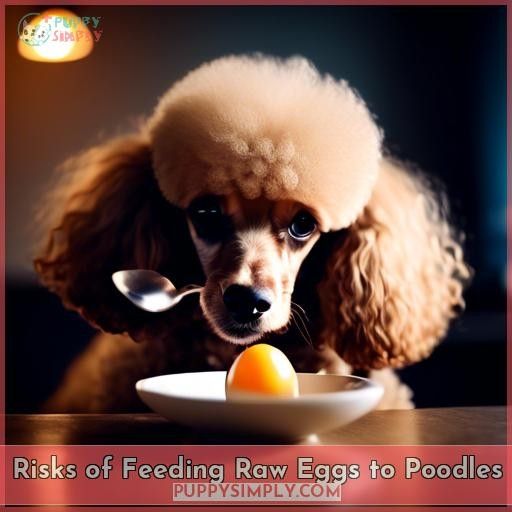 Risks of Feeding Raw Eggs to Poodles