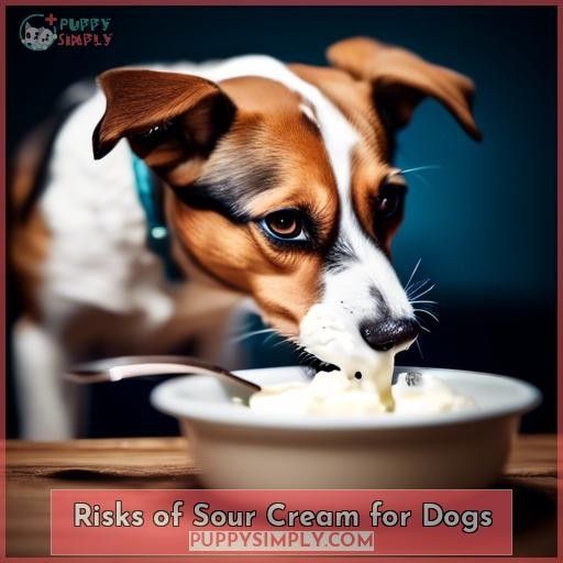 Risks of Sour Cream for Dogs