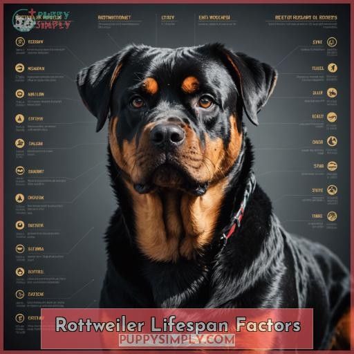 Rottweiler Lifespan Factors
