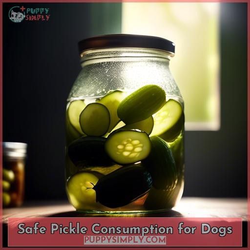 Safe Pickle Consumption for Dogs