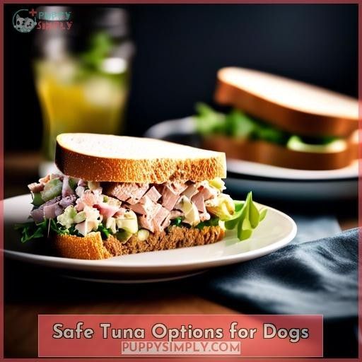 Safe Tuna Options for Dogs