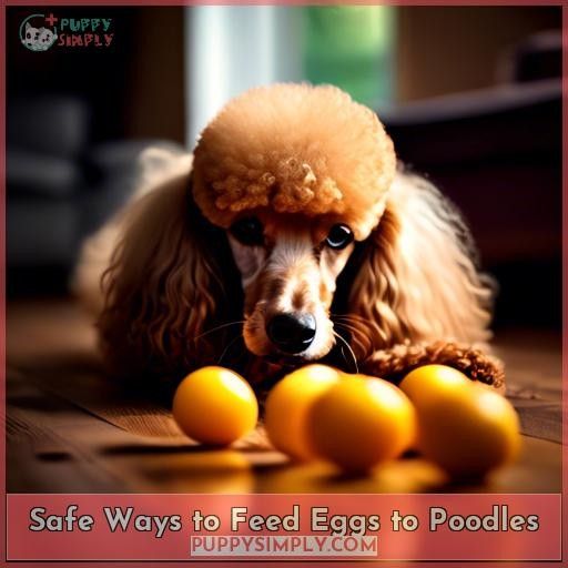 Safe Ways to Feed Eggs to Poodles