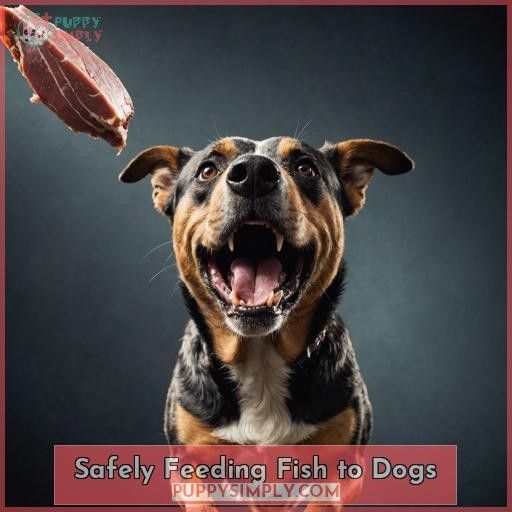 Safely Feeding Fish to Dogs