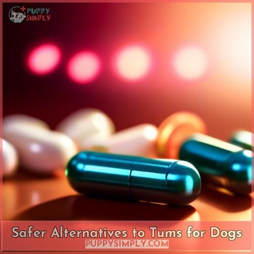 Safer Alternatives to Tums for Dogs