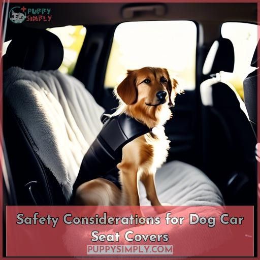 Safety Considerations for Dog Car Seat Covers