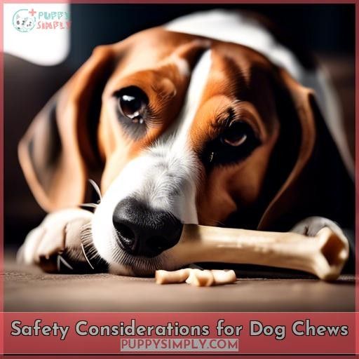 Safety Considerations for Dog Chews